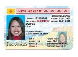 transgender drivers license Posin naked beoynce